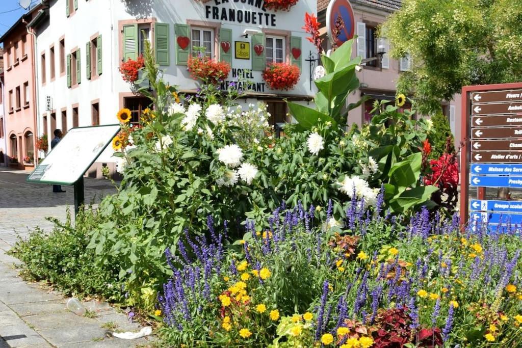 Gîte Le Villois à Villé Centre Alsace Esterno foto