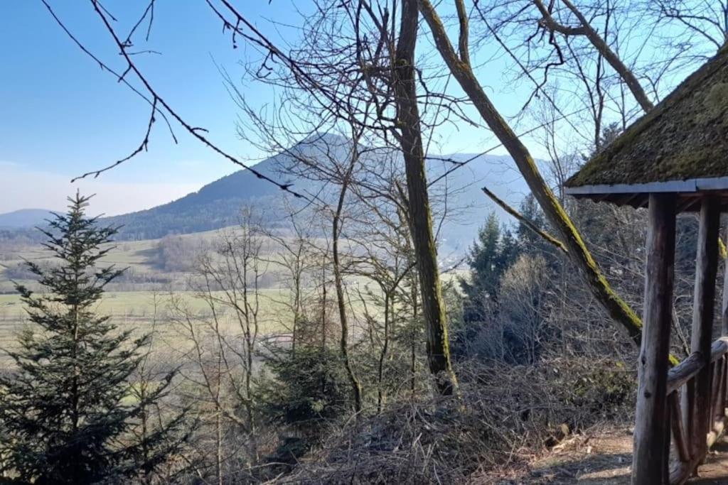 Gîte Le Villois à Villé Centre Alsace Esterno foto