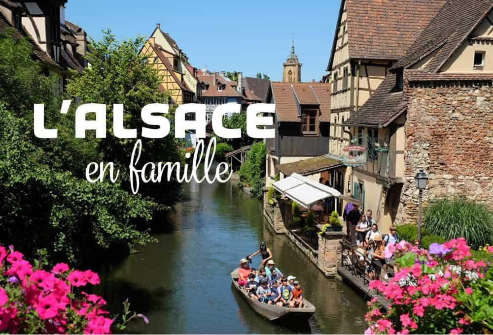 Gîte Le Villois à Villé Centre Alsace Esterno foto