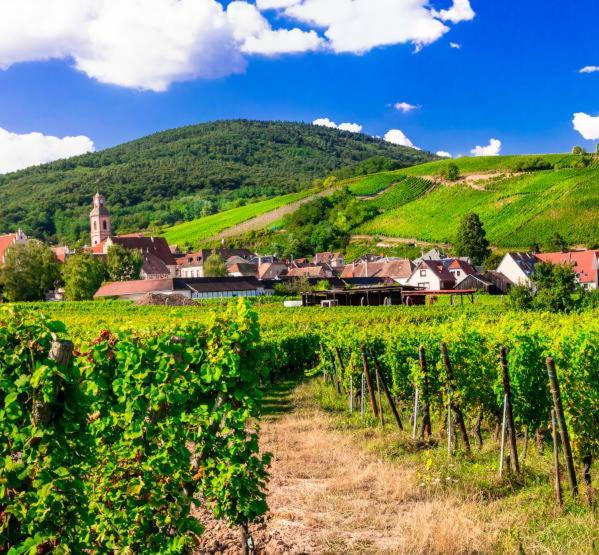 Gîte Le Villois à Villé Centre Alsace Esterno foto