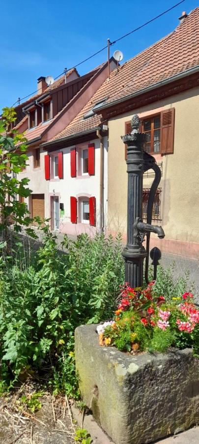 Gîte Le Villois à Villé Centre Alsace Esterno foto